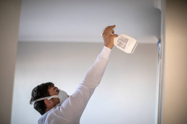 Best Mold Damage Repair  in Winnie, TX